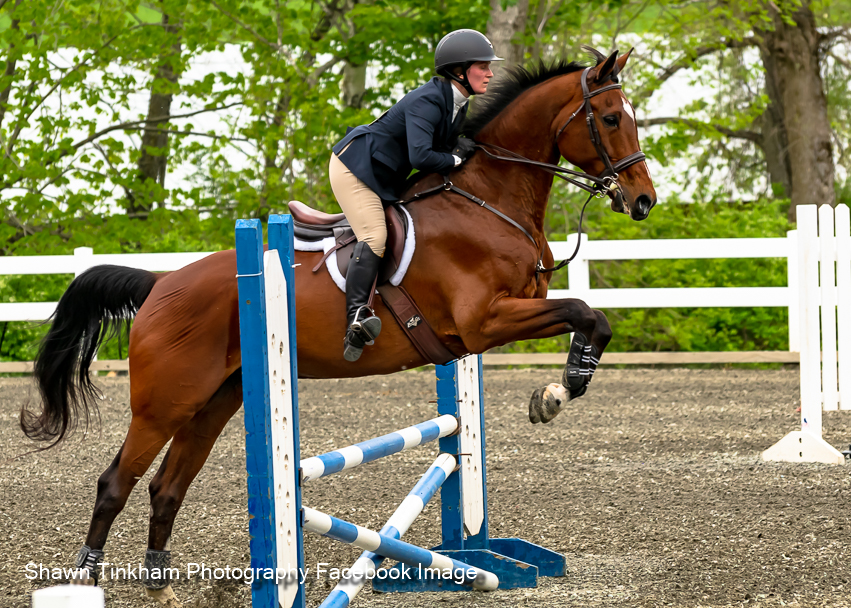 GMHA Spring Hunter Jumper Show Event Proofs 2021 Equestrian