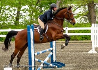 GMHA Spring Hunter Jumper Show