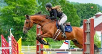 GMHA Summer Hunter-Jumper Show