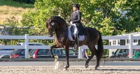 GMHA Dressage Days