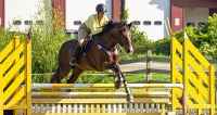 GMHA August Hunter Jumper Show