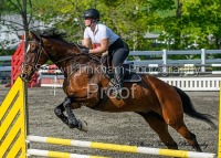 GMHA Spring Hunter Jumper Show