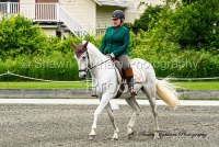 GMHA June Dressage