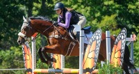 Myopia Horse Show