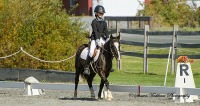 GMHA Fall Dressage