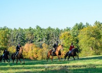 Oct 22 Black Oak Farm