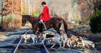 Nov 17 Schooling Fields and Harvard Woods