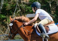 GMHA May Schooling and Jumper Show