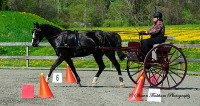 GMHA Spring CT & Arena Driving Trials