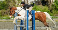 GMHA Spring Hunter Jumper