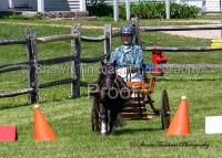 Myopia Carriage Classic