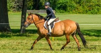 122nd Myopia Horse Show