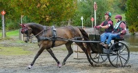 GMHA Fall Driving Trials