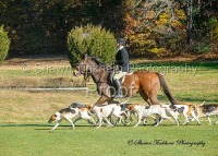 Nov 11 Schooling Fields