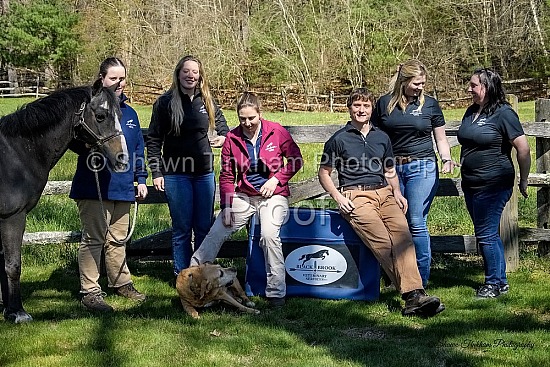 Black Brook Veterinary