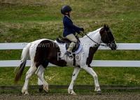 GMHA May Schooling and Jumper Show