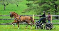GMHA Spring Driving CT and AT