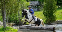 GMHA Adult Dressage and Eventing Clinics