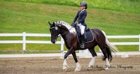 GMHA June Dressage Show