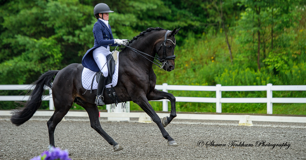 GMHA July Dressage Days - C-D - Castner, Milda - Event Proofs - 2025 ...