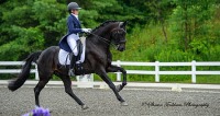 GMHA July Dressage Days
