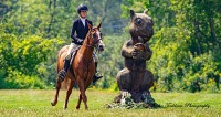 GMHA August Hunter/Jumper Show and Derbies