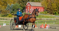 GMHA Fall Driving CT, AT & Derby