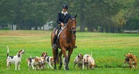 Myopia Hunt