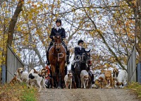 Nov 8  All New England Hunts Joint Meet