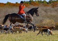 Nov 15 Norfolk/Myopia Joint Meet