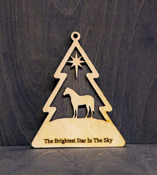 Brightest Star Tree | ST5_2076.jpg