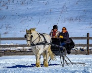 Miscellaneous Events