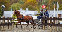 GMHA Fall Driving Event