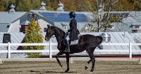 GMHA Fall Dressage
