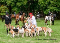 Oct 10 Blessing of the Hounds
