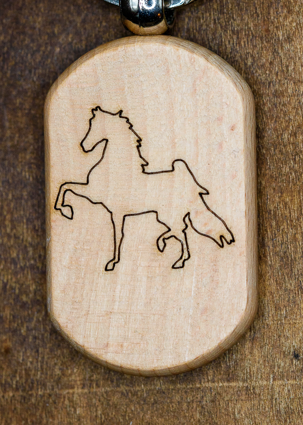 Saddlebred Trot | DSC_9469.jpg