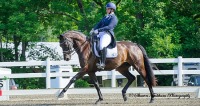 GMHA July Dressage Days