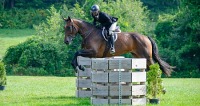 GMHA August Hunter/Jumper Show