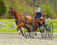 GMHA Spring Driving CT & AT