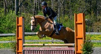 GMHA Spring Hunter Jumper Show