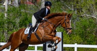 GMHA May Schooling and Jumper Show