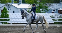 GMHA June Dressage Days